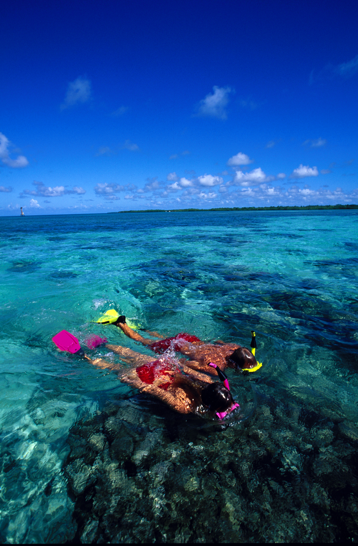 Snorkeling - Caribbean Watersports