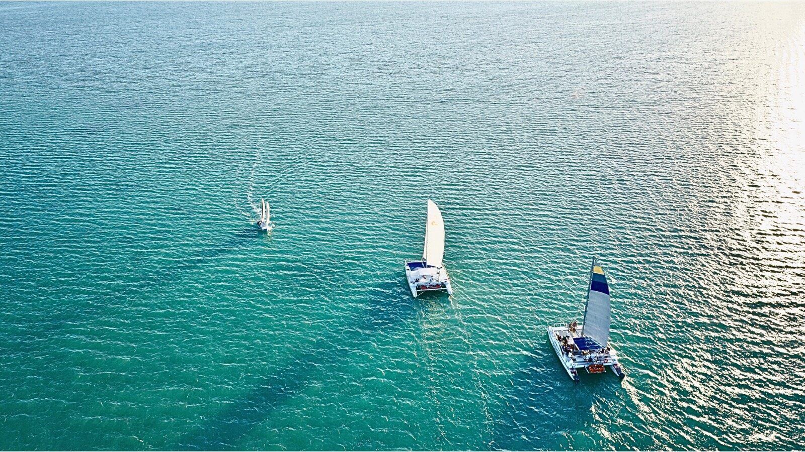 Aerial view of Caribbean Watersports sailing catamarans on the turquoise water of Florida Bay