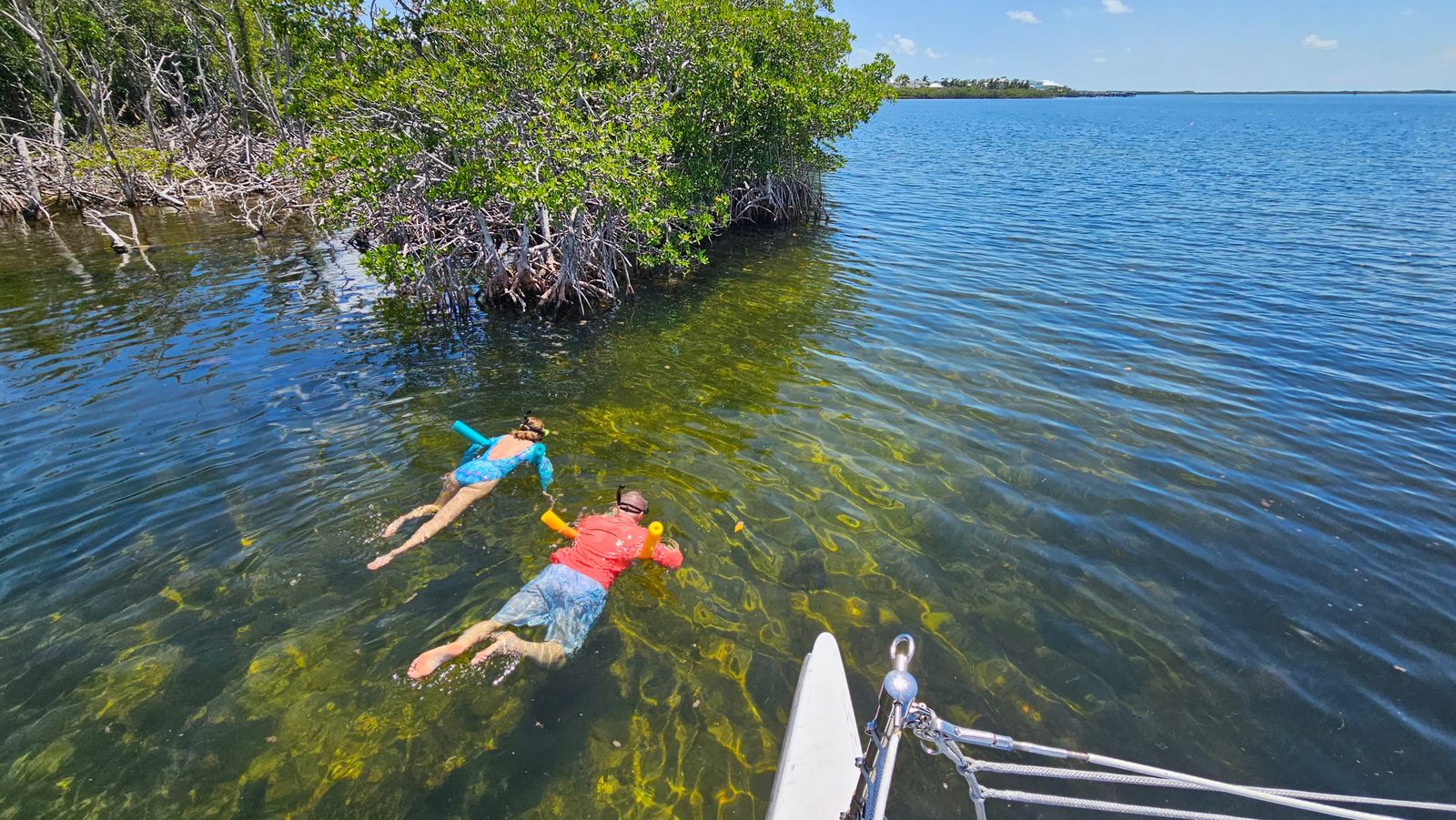 A low-impact eco tour gliding through pristine Florida Bay backcountry