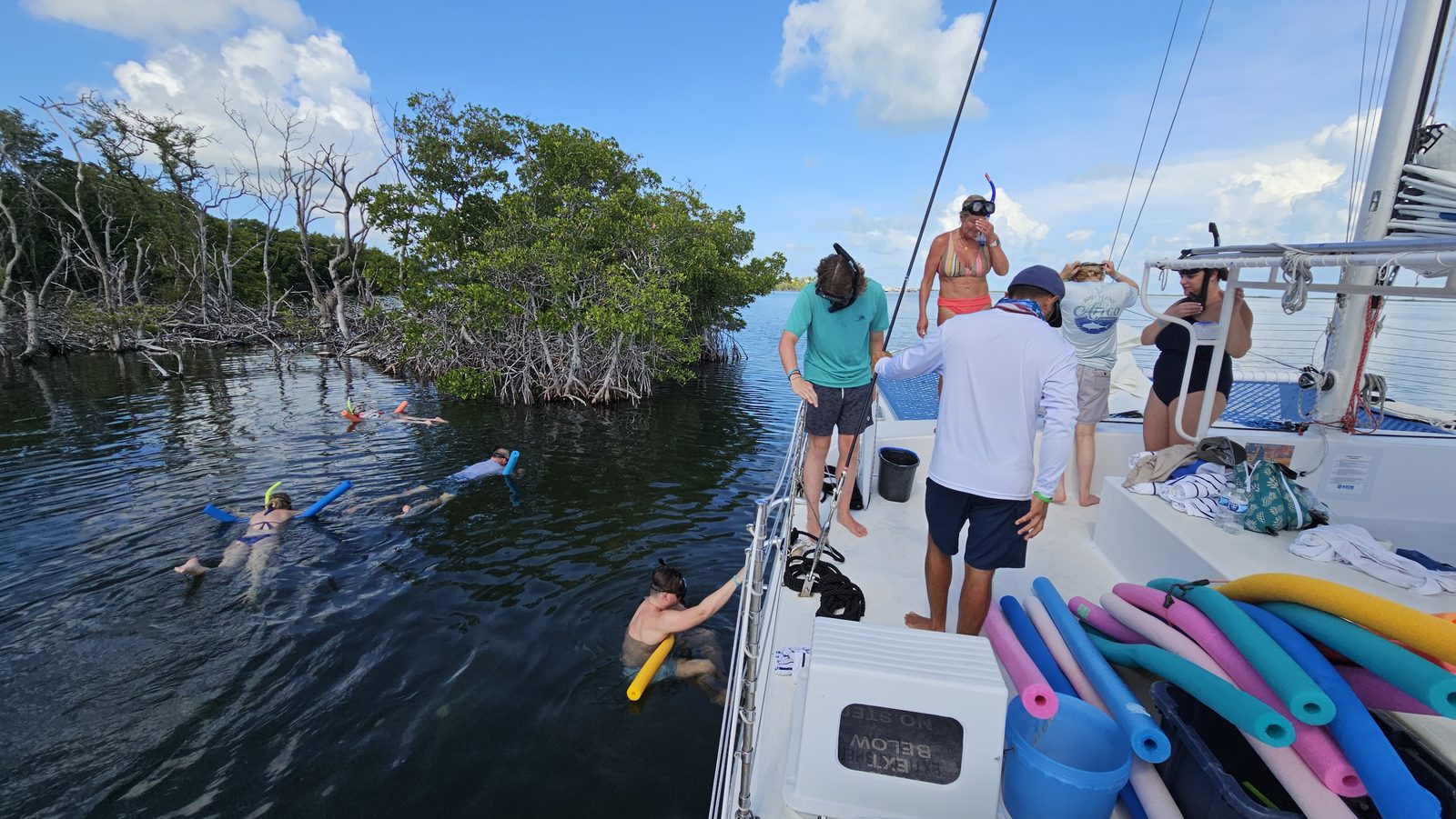 A snorkeler floating over the shallow, calm flats of Florida Bay