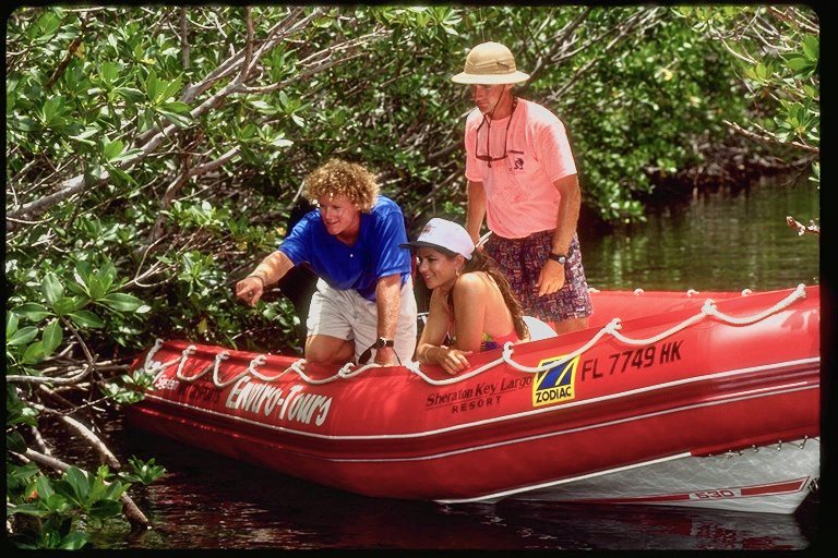 A guide and two children peering over the side of the red Enviro-Tours boat into the mangroves